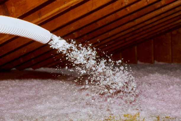 Best Residential Insulation in Arabi, LA