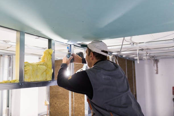Best Insulation for Specific Applications in Arabi, LA
