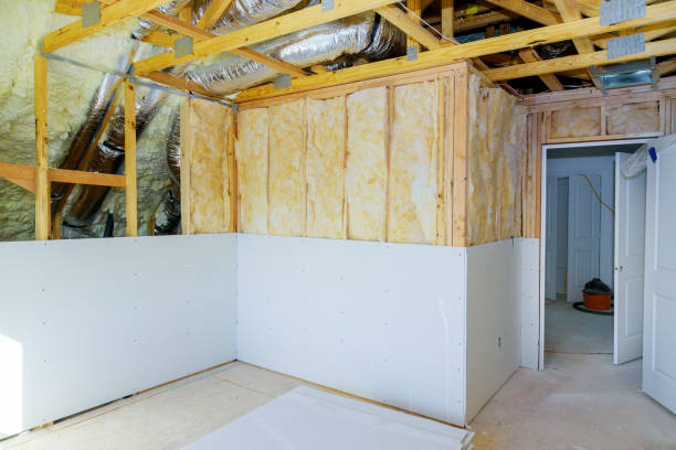Best Insulation Installation Services in Arabi, LA