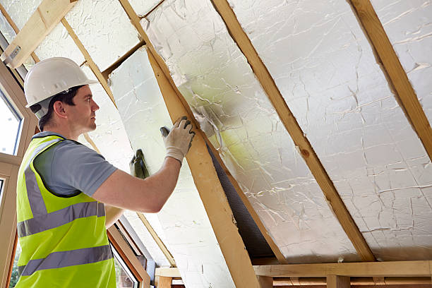 Best Types of Insulation in Arabi, LA